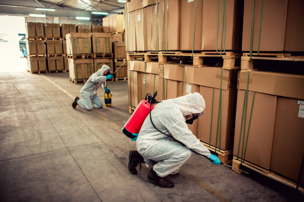 Best Commercial Pest Control Services  in Zumbrota, MN
