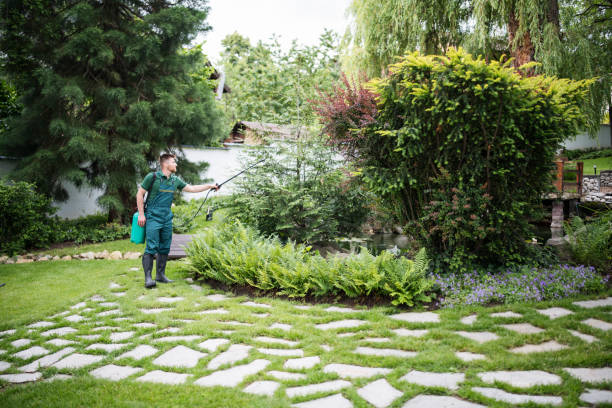 Best Pest Removal Services  in Zumbrota, MN