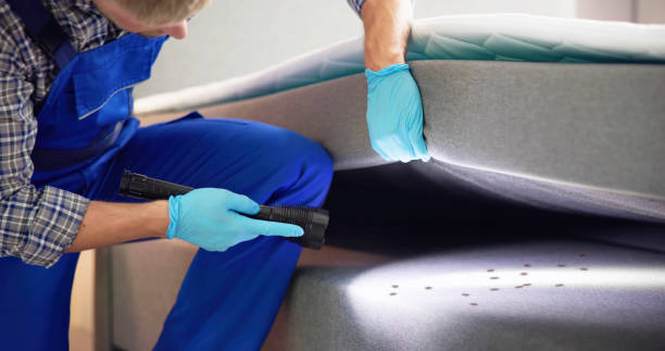 Best Flea Control Services  in Zumbrota, MN