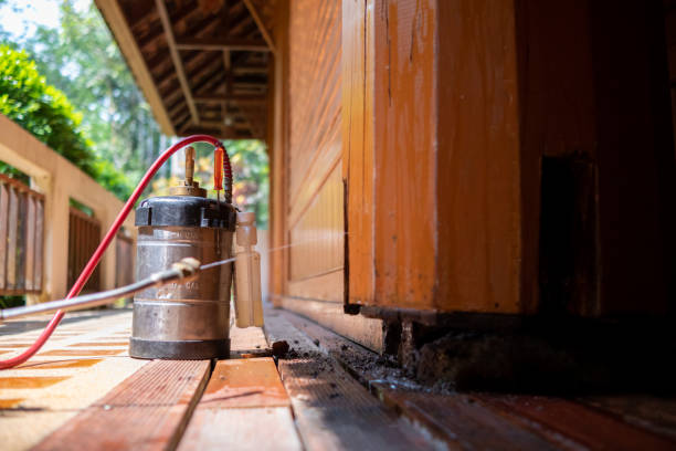 Best Pest Inspection Near Me  in Zumbrota, MN